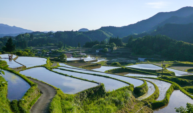 令和の日本列島改造論（その9）　日本の農林業を変える   