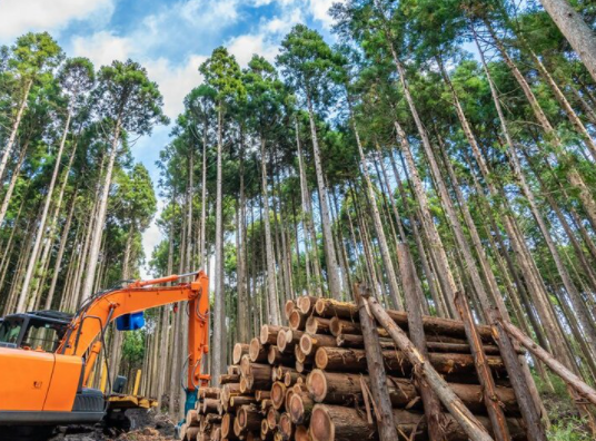 令和の日本列島改造論（その10）　森林利用計画を国家として取り組め！