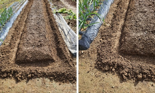 家庭菜園奮闘記（その78）　菜園の土づくり